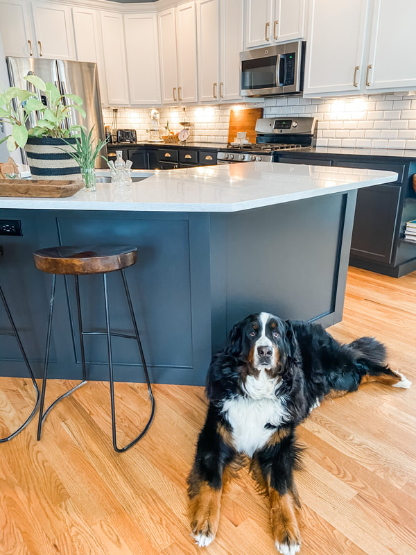 Newly remodeled Bloom kitchen with client's dog laying on floor in his new kitchen.